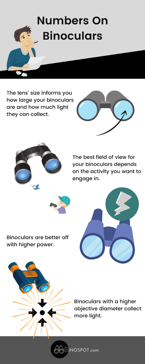 What Do Numbers On Binoculars Mean? BinoSpot