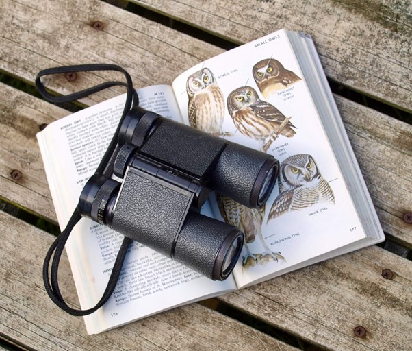 Best Rangefinder Binoculars BinoSpot